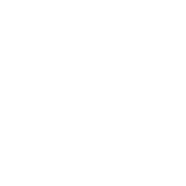 plastic pallet