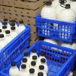 سبد پلاستیکی لبنیات