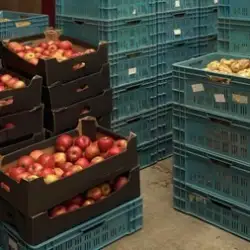 ضرورت سبدهای پلاستیکی صنعتی در زنجیره تامین کشاورزی