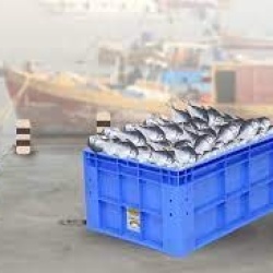 کاربردهای سبد های پلاستیکی در صنعت ماهیگیری